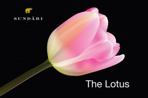 The Lotus