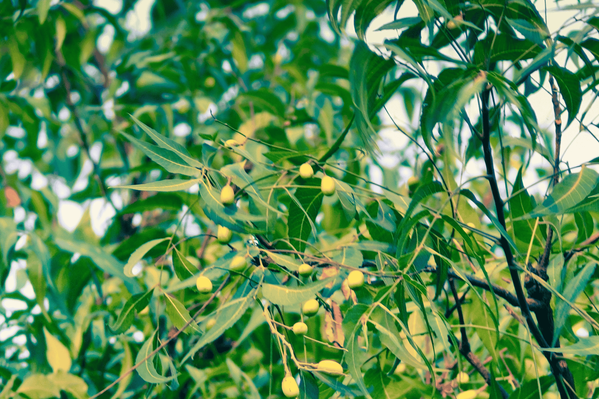 おすすめプロダクトのサムネイル